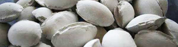 gypsum briquette